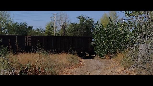 VID - 20250903 - 112332. mp4.
2ТЭ25Км - 0030 с грузовым поездом.