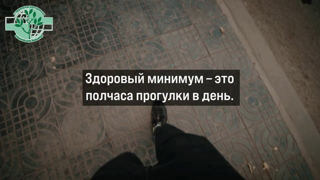 Движение помогает нашему организму быть здоровыми