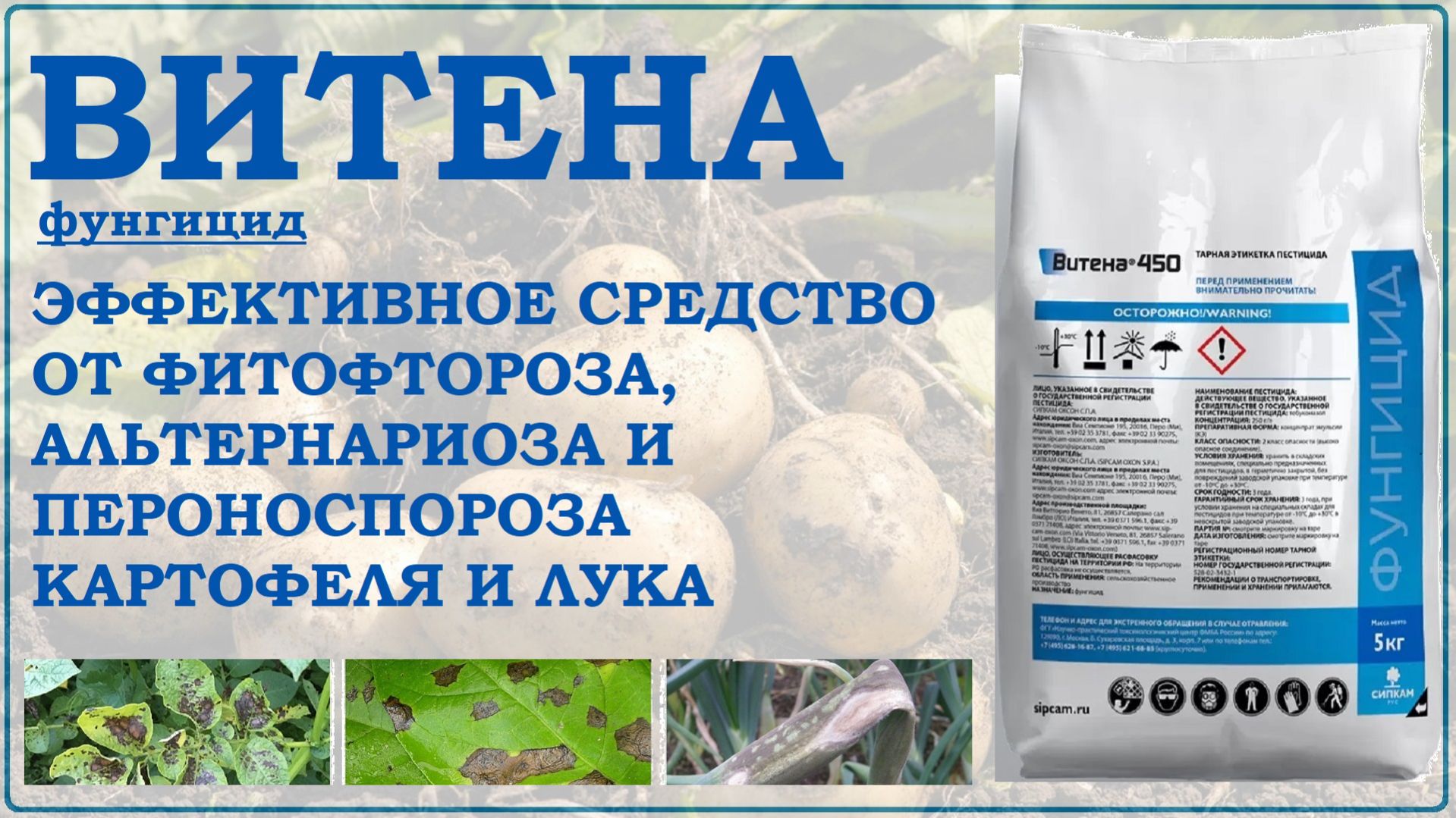 Витена – средство против фитофтороза, альтернариоза и пероноспороза картофеля и лука. Обзор