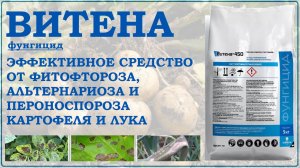 Витена – средство против фитофтороза, альтернариоза и пероноспороза картофеля и лука. Обзор