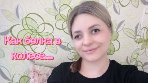 КАК БЕЛКА В КОЛЕСЕ...