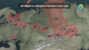«Добролов» в сезон клещей на телеканале МИР24. Какие регионы России в зоне риска