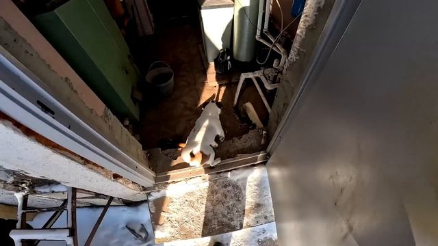 Трактор тянет ниву ! Опять застрял ! ХУТОР В ЛЕСУ №976