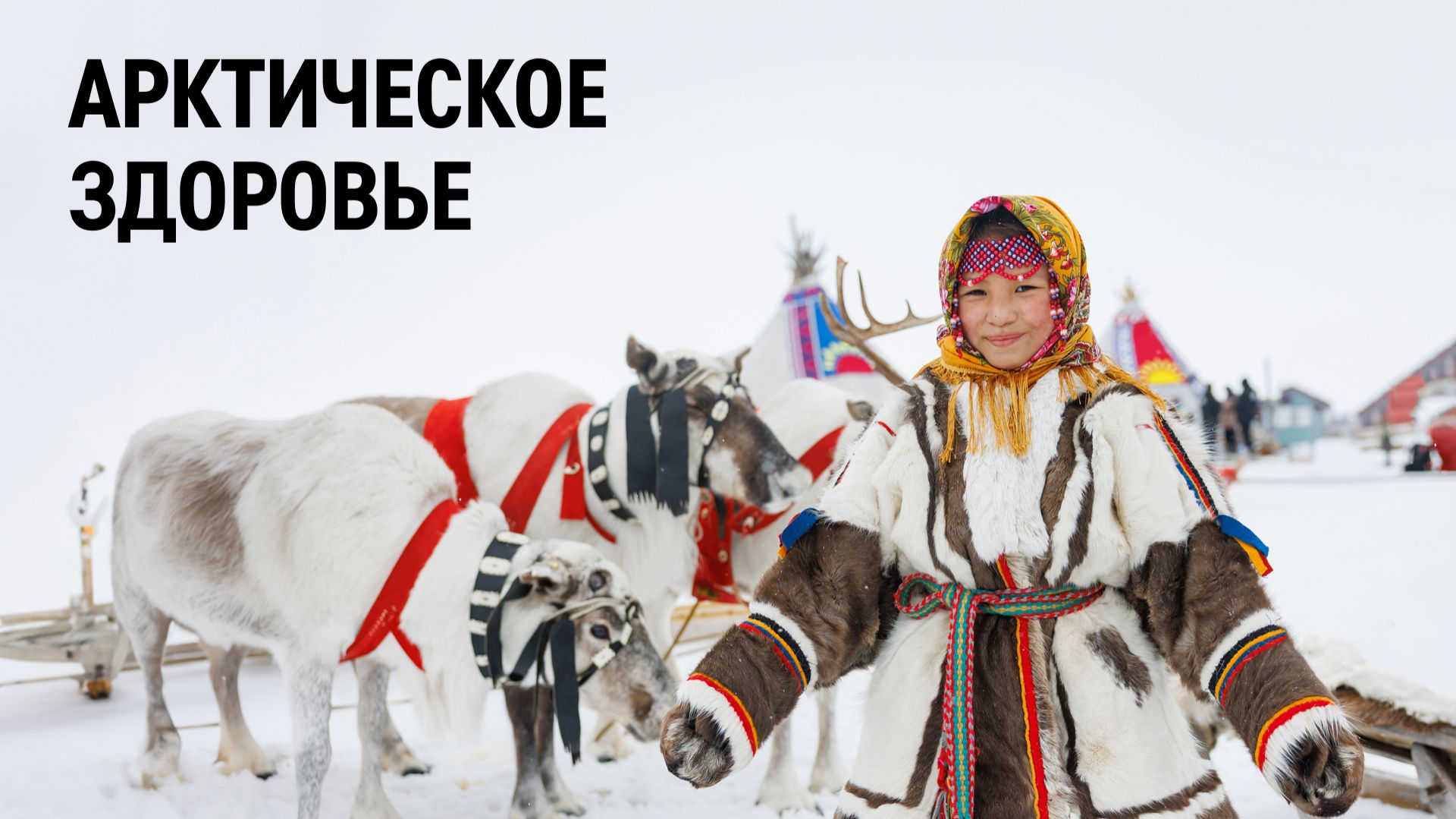 Арктическое здоровье
