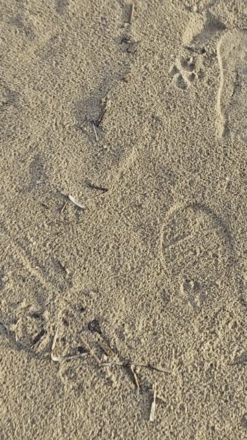 Из за тучи виден луч