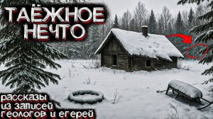 В Этой ТАЙГЕ обитает НЕЧТО Необъяснимое. Страшные истории из ТАЙГИ
