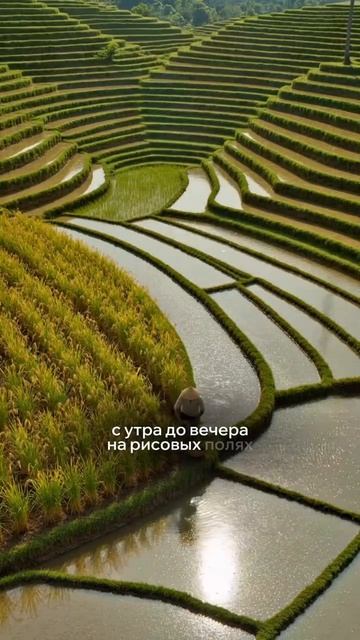 Как увидеть [свою супер силу]?👇🏻