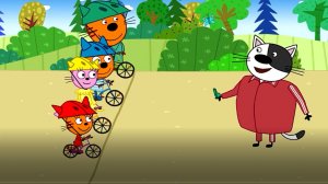 ТРИ КОТА !!! ВЕЛОСПОРТ ДЛЯ КОТИКОВ !!!