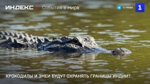 Крокодилы и змеи будут охранять границы Индии?