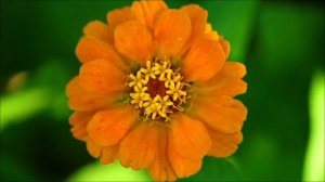 Три вещи, которые категорично нельзя отдавать на Страстной неделе