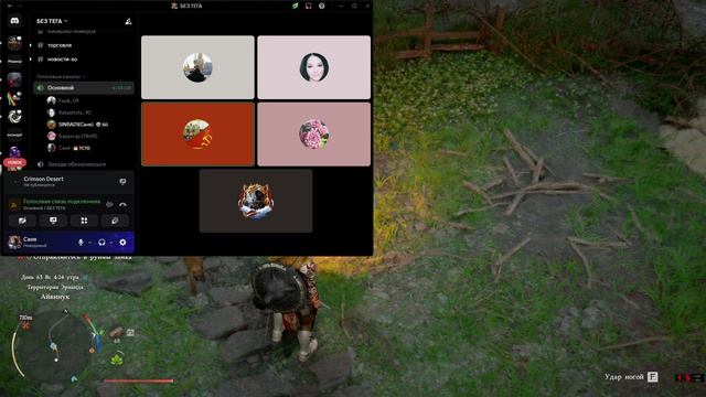 СRIMSON DESERT(кримсон дэзэрт)