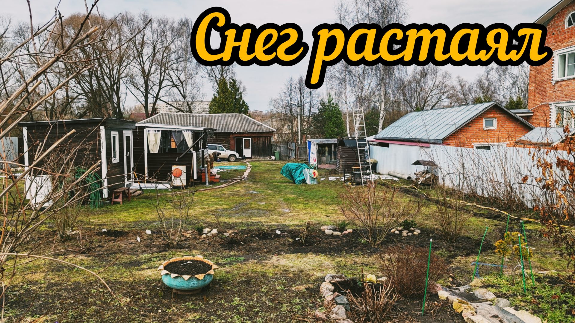 Снег растаял. Что с цветниками. У хвойных сломались макушки.