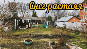 Снег растаял. Что с цветниками. У хвойных сломались макушки.