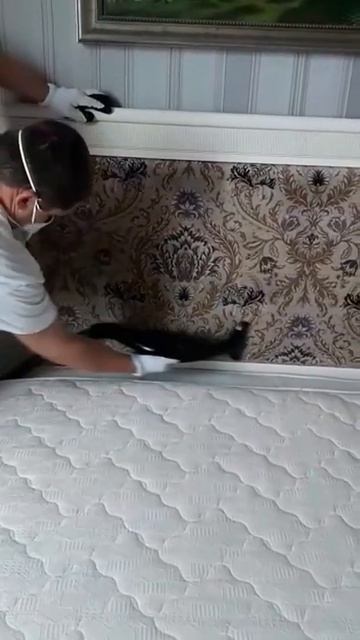 ЧИСТКА ИЗГОЛОВИЯ КРОВАТИ