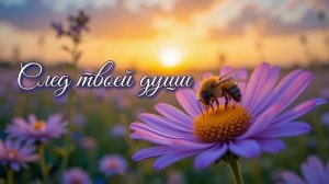 След твоей души (на стихи Александра Левонюка)