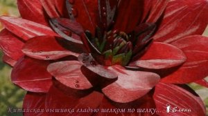 Китайская вышивка гладью шелком по шелку  *