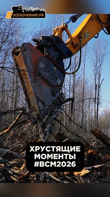 Корчевательные ножницы снова в деле. Засняли для вас самые сочные моменты!🔥