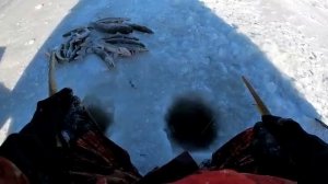 Лучшая Зимняя Рыбалка 2026 Очень Много Щуки. Лучший Поклёв на Щуку 2026 Русская Рыбалка Онлайн