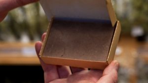 Франшиза Сила Бани