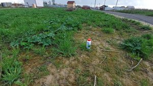 Архив 🤗  Купили участок в голом поле. Начало работ. Обработка от борщевика