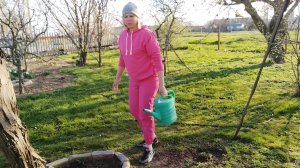 Вечерний выгул кур, на хозяйстве у родителей