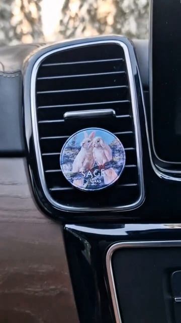 Автодиффузоры SAGE