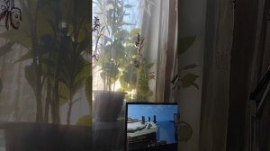 ⛏️ прахажу маенкравт на рилеке ⛏️