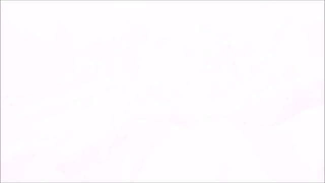 Три  кота, пираты