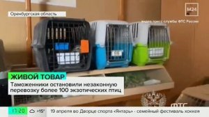 Телеканал «Москва 24», программа «Новости», 03.04.2026