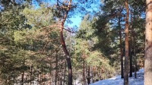 О "космических" зарплатах, "умных" сотрудниках, страха перед накоплениями и воспитании в нужде