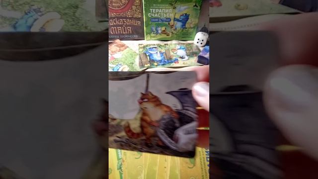 06042026🌎❤️🐬Это просто любовь🌅⭐☀️общий🐞🦁🧿