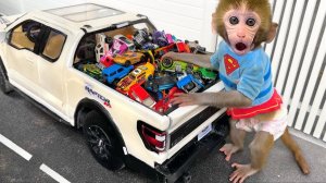 Monkey Baby Bon Bon drives a car and plays with