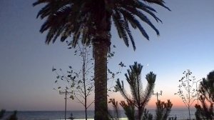 ВИД ИЗ ОКНА. ПАРК ОТЕЛЬ «КАВКАЗ»