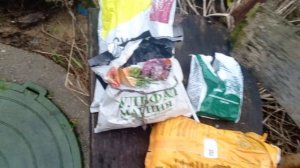 Еще одна из первых подкормок чеснока и лука . А также перед заморозками.