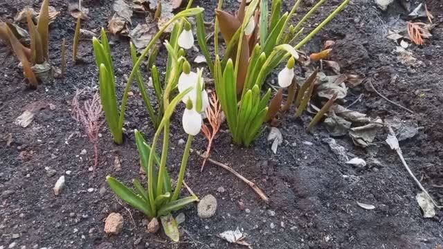 Москва - Сити. Вид с Поклонной горы