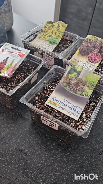 Сегодня хочу показать вам свои цветочки🫶