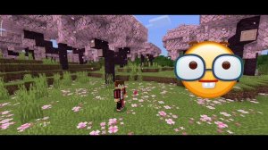 Это 5 ТРЕНДОВЫХ Текстур Из ТИКТОКА которые ТЫ ТОЧНО ИСКАЛ|Minecraft|PE|1.21