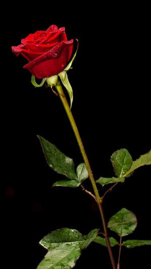 пр❤️❤️❤️❤️❤️❤️❤️❤️❤️❤️❤️❤️❤️❤️❤️❤️❤️❤️❤️❤️❤️❤️❤️❤️