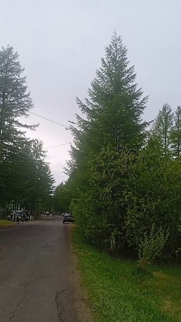 Давно самолётов не видела