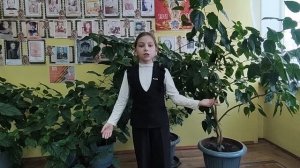 Николай Рубцов "Про зайца".