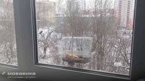 снегири
