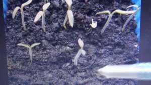 На этот вопрос я ответить не могу! Нужна помощь зрителей! 6.04.2026.