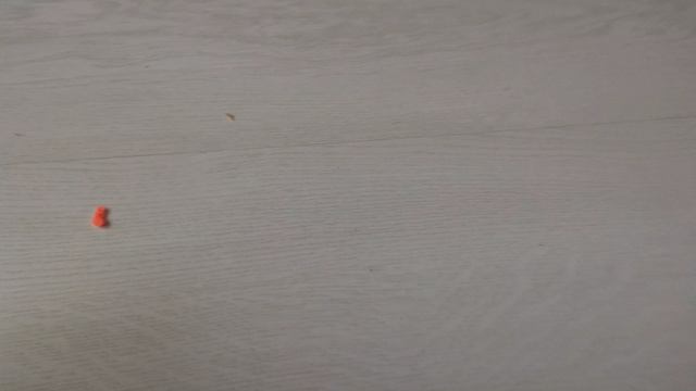 кот прыгает на окно