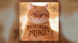 мяу мяу Фонк