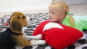 СОФУНЬЯ ШАЛУНЬЯ - СОФИЯ И ПРЯТКИ СО ЩЕНКОМ.