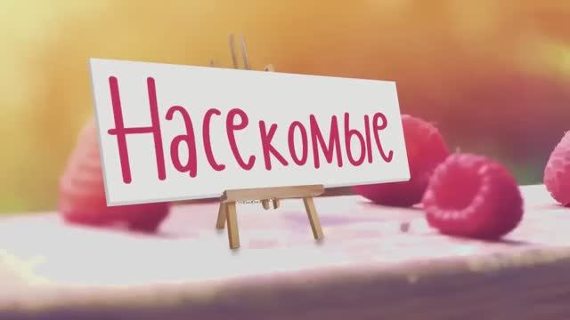 Учим насекомых мультфильм для детей мультики для малышей