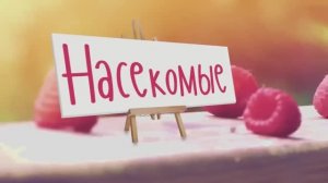 Учим насекомых мультфильм для детей мультики для малышей