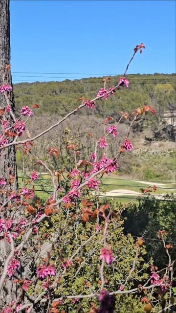 Весна приносит позитив в наши души!