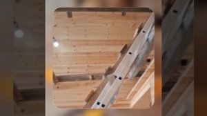 1000055178.mp4 (Собака наблюдает за устройством лестницы на 2-ой этаж в доме А-фрейм)