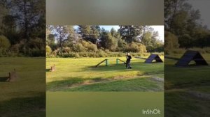 Дрессировка5